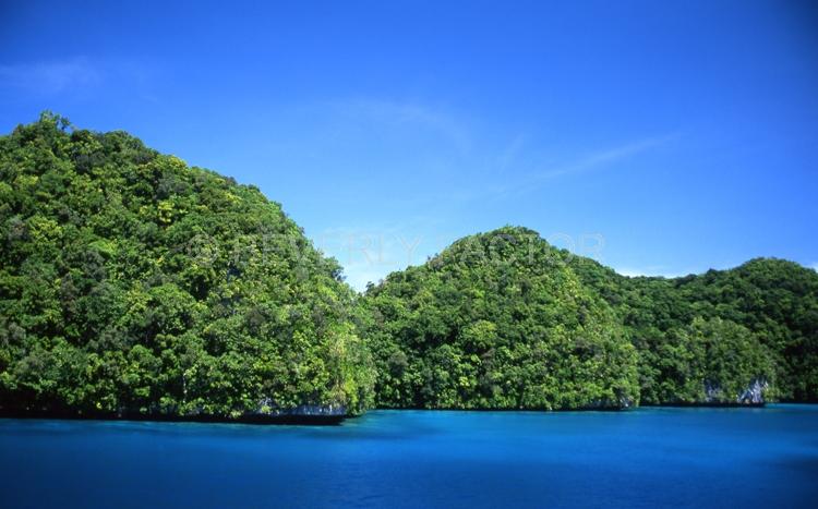 Island;trees;green;blue water